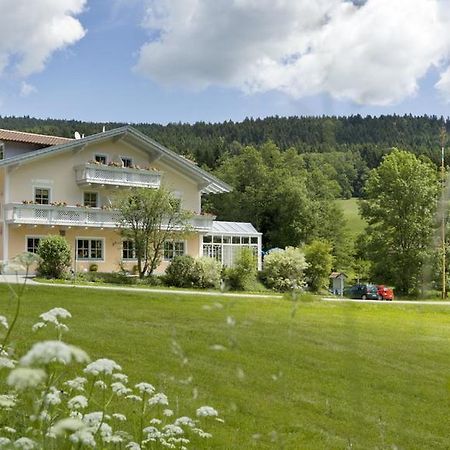 Landgasthof Hotel Zum Hirschenstein, Pension Garni Sankt Englmar Eksteriør billede