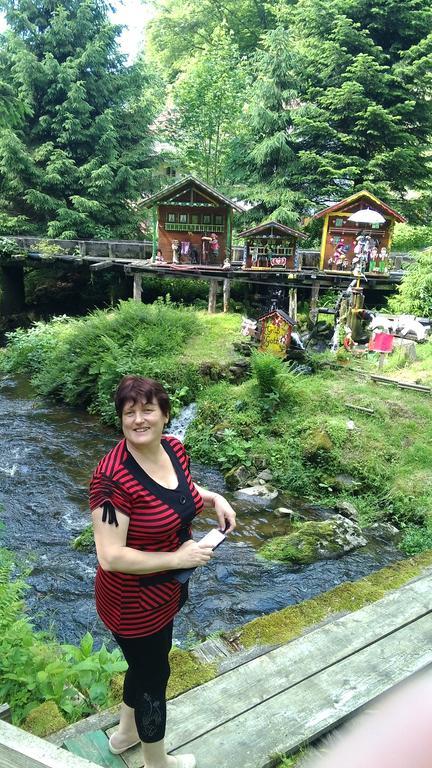 Landgasthof Zum Hirschenstein, Pension Garni Sankt Englmar Eksteriør billede